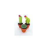HardiCraft - Juego de ganchillo con forma cactus