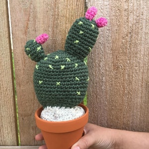 🌵 Compra los CACTUS DE CROCHET o ganchillo MÁS BONITOS 🌵